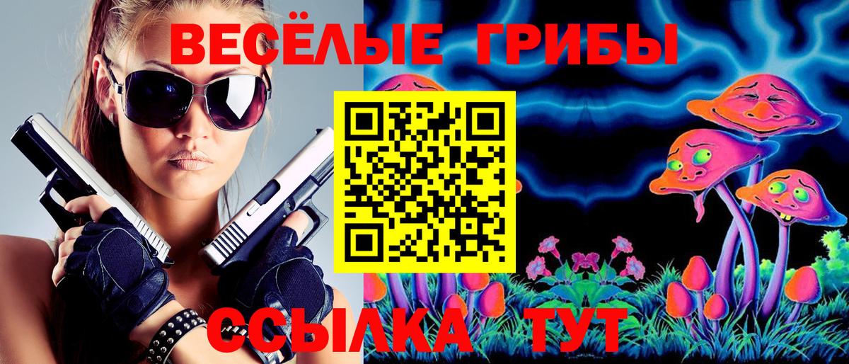 Галлюциногенные грибы Psilocybine cubensis Холмск