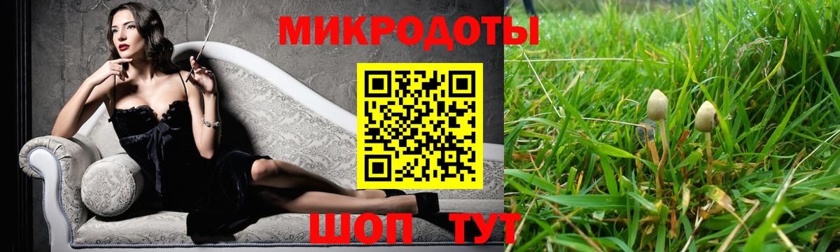 Галлюциногенные грибы Magic Shrooms  Вход с VPN  Холмск  Галлюциногенные грибы ЛСД 